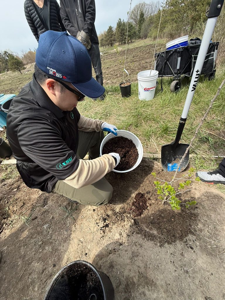 Tree planting activity at Milne Dam Conservation Park Markham