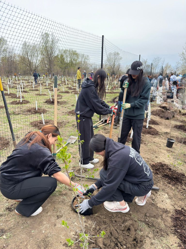 Volunteers planting trees in Markham community event.