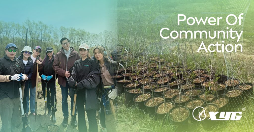 XYG North America employees participating in a community tree planting event in Toronto